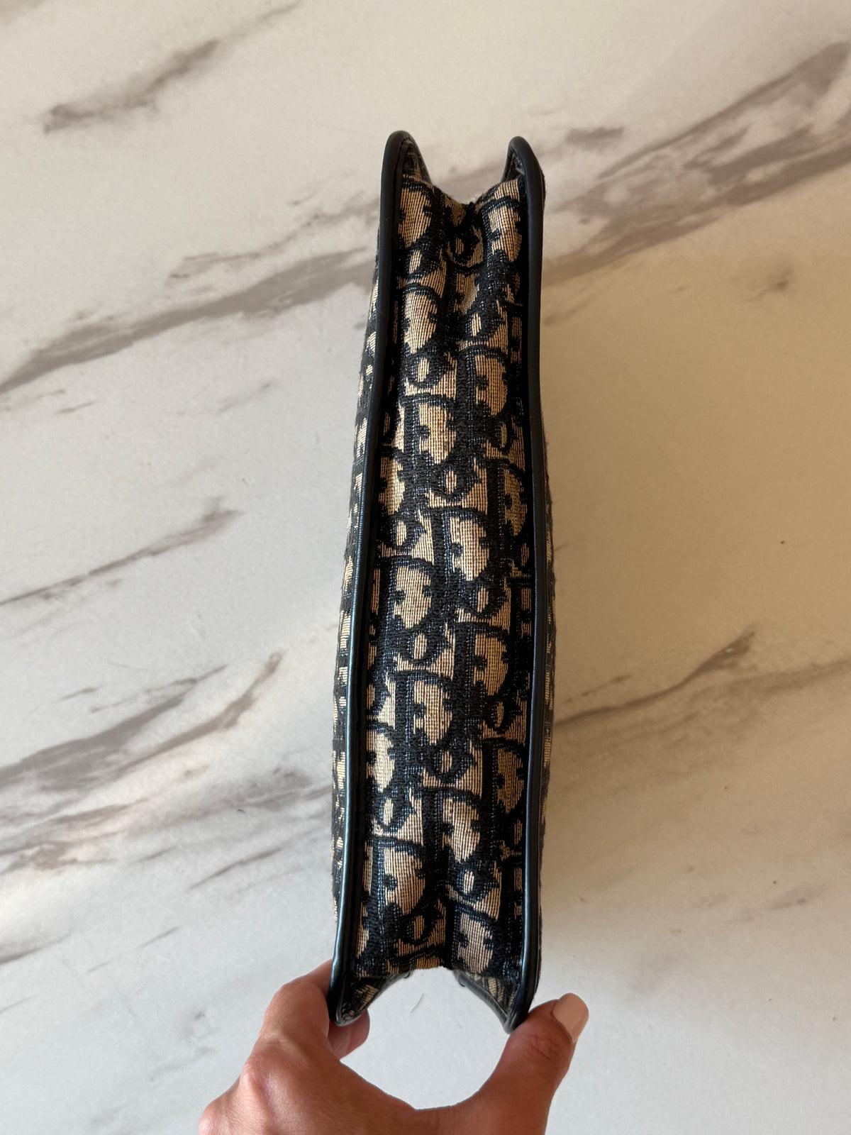 Dior  Trotter Pouch