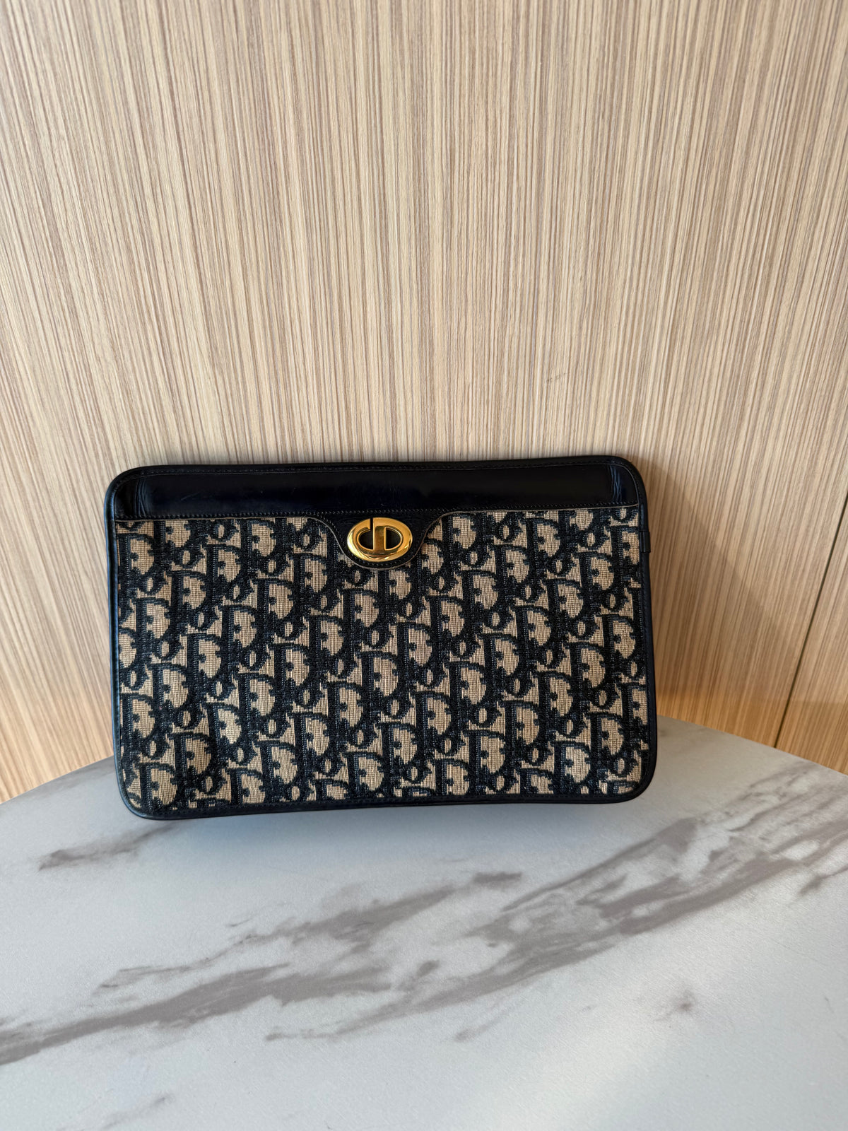 Dior  Trotter Pouch