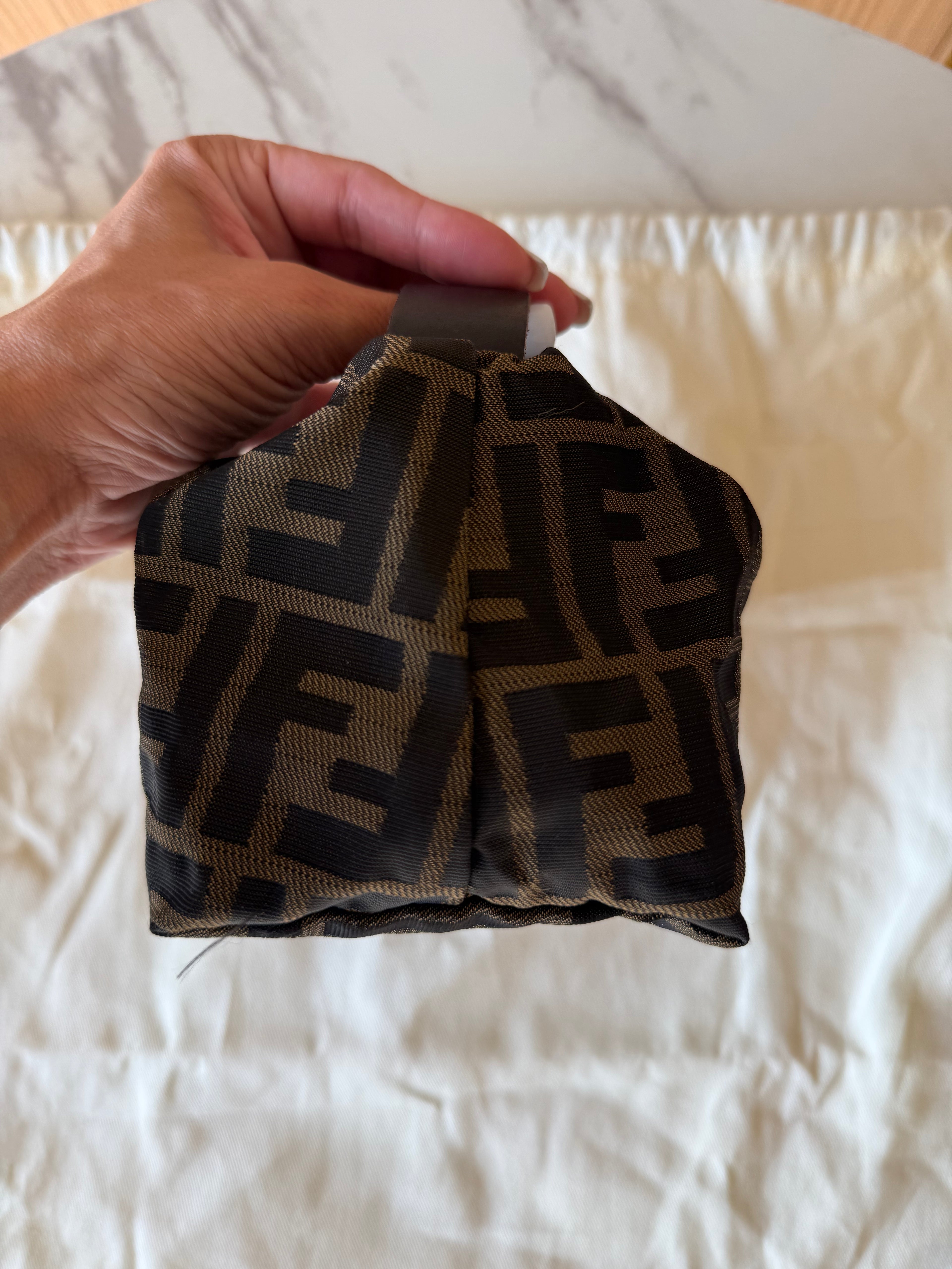 Fendi Zucca Bag