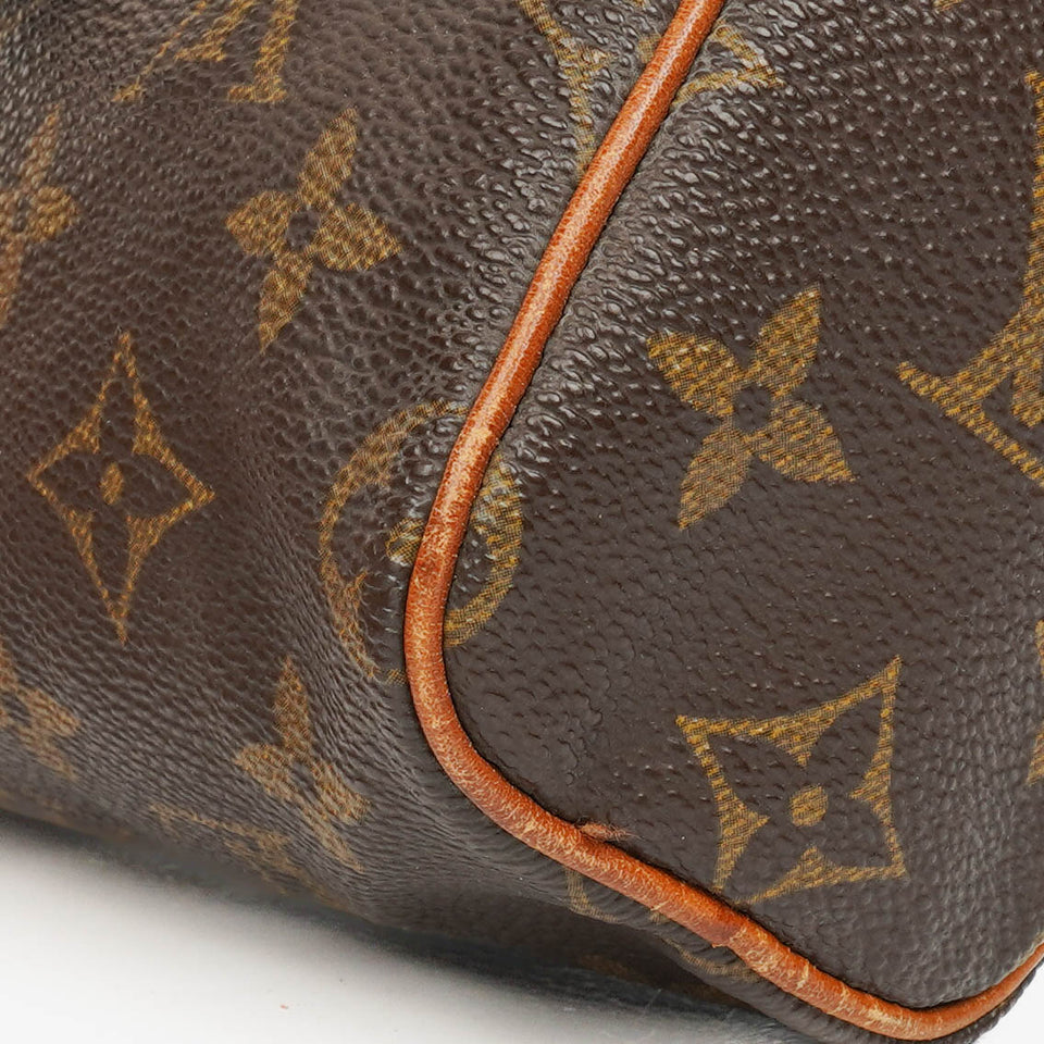 Louis Vuitton Nano Speedy Monogram Canvas Mini Bag
