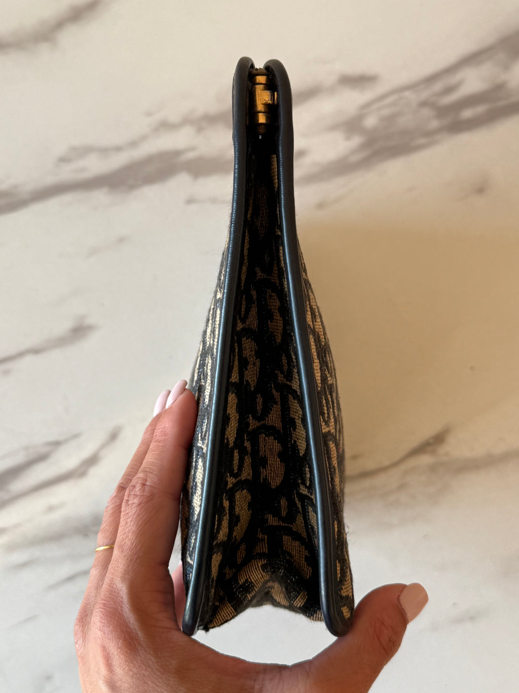 Dior  Trotter Pouch