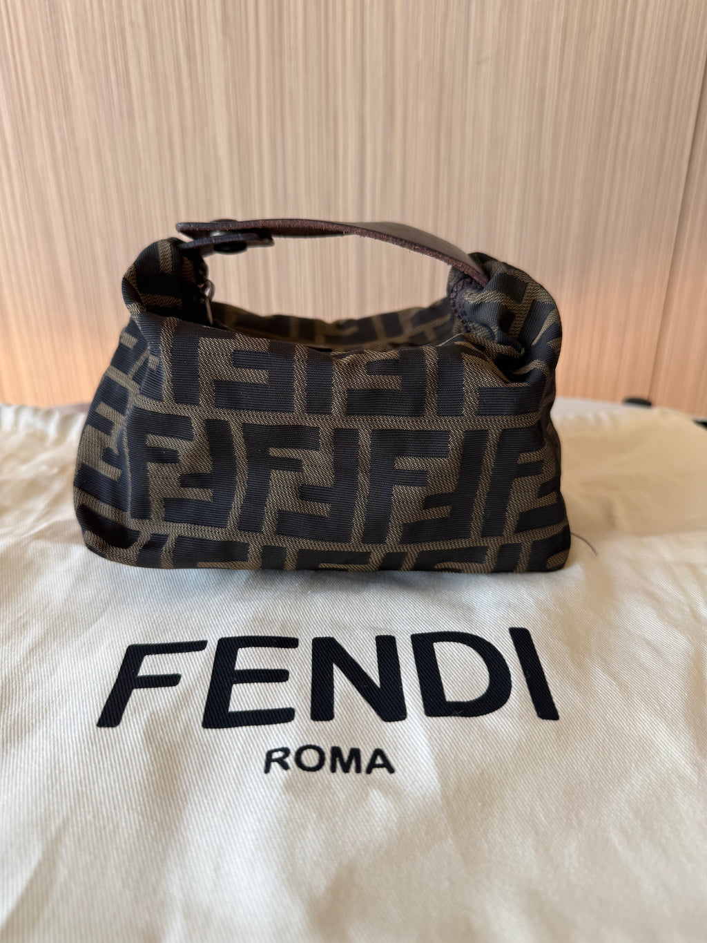 Fendi Zucca Bag