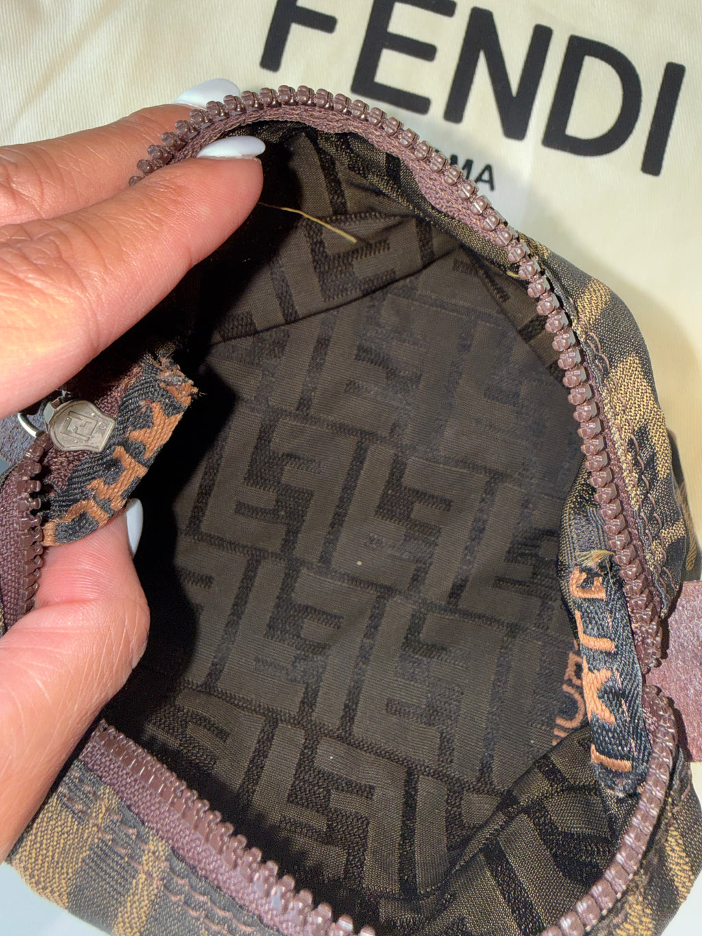 Fendi Zucca Bag