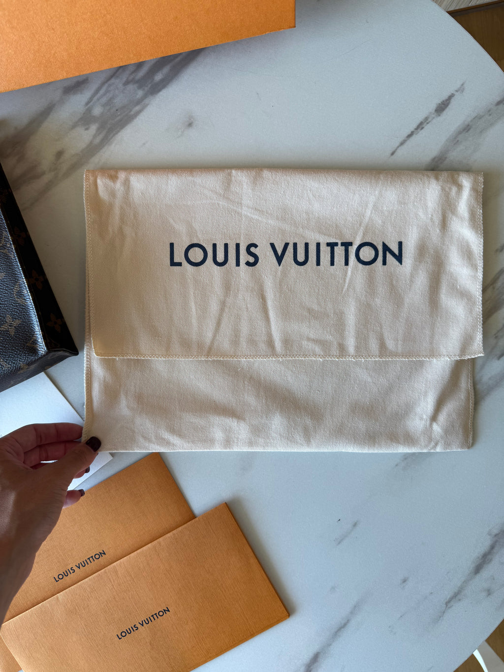 Louis Vuitton Toiletry Pouch 26