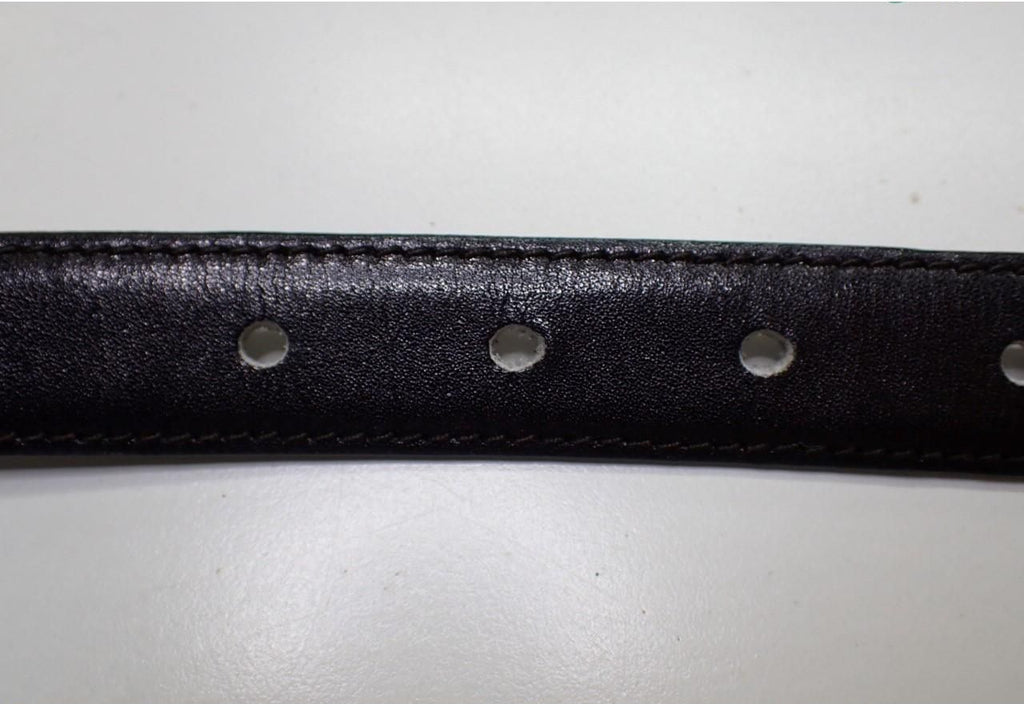 Celine Triomphe Belt