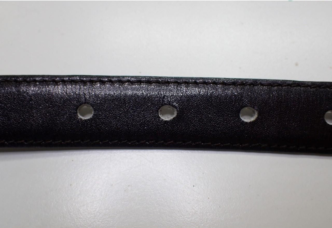 Celine Triomphe Belt